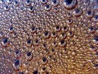 Water drops 2
