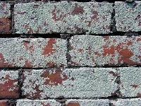 Brick Wall