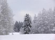 Riihimaki, Finland