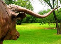 Bull