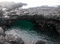 The Galapagos