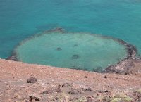 The Galapagos