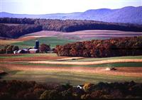 Farming near Klingerstown, Pennsylvania