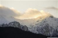 Snowy landscape