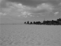 A beach in Aruba