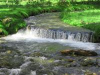 a Stream