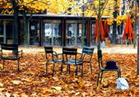 Winter in the park, Paris, France