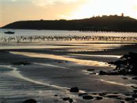 Half Moon Bay, California, United States