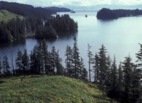Afognak coastline, Kazakof Bay , 1986