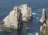 Chowiet seabird colonies