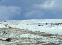 Cold Bay WW II Remains