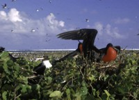 Johnston Island National Wildlife Refuge