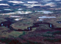 Kanuti Refuge burned area and Wetlands