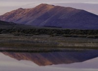 Lower Klamath National Wildlife Refuge, California