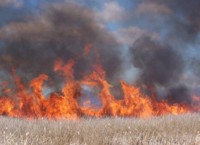 Marsh burn at Tule Lake National Wildlife Refuge 2005.