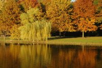 An Autumn Scene