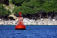 Buoy