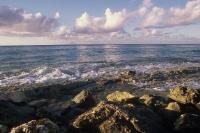 The ocean