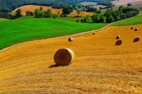 Tuscany Landscape, Italy