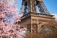 Spring in Paris