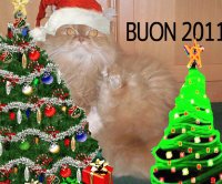 natale