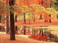 autunno rosso