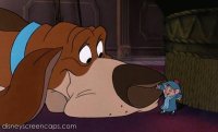perrito