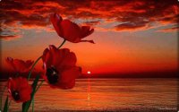 Céu vermelho