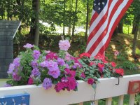 Front Deck