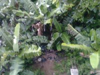 Lluvia desde el balcon