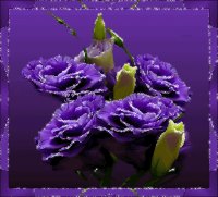 Purple Art