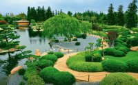 Jardim Japonês 1