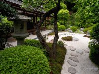Jardim Japonês