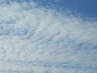 Sheep clouds