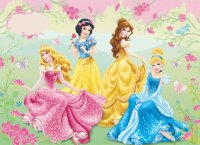 Aurora SnowWhite Belle Cinderella