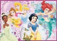 Tiana Belle Aurora SnowWhite Ariel