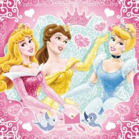 Aurora Belle Cinderella