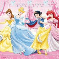 Belle Cinderella SnowWhite Ariel