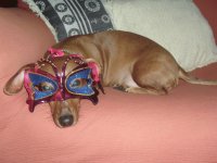 Belinha