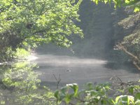 Another day at Black River fishing hole