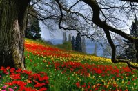 Paisagens