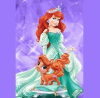 Ariel pet