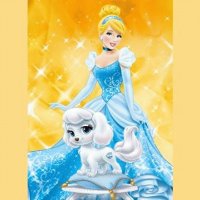 Cinderella pet