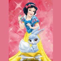 SnowWhite pet
