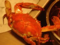 future dinner