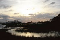 coastal river
