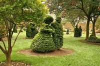 jardin