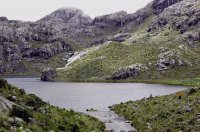Laguna 4 Brazos Merida