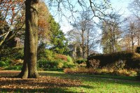 JARDINES