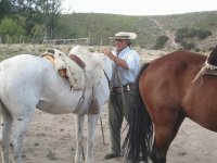 Gaucho of Mendoza Argentina